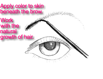 Apply color to skin beneath the brow. Work with the natural growth of hair.